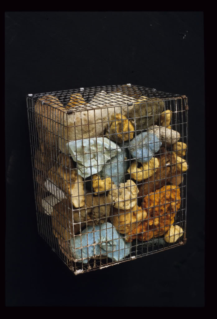 cage01.jpg