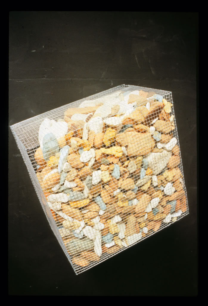 cage02.jpg