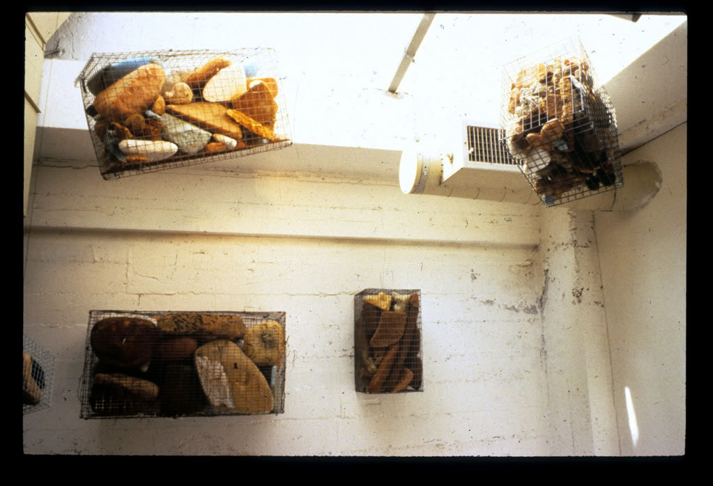 cage_group_02.jpg