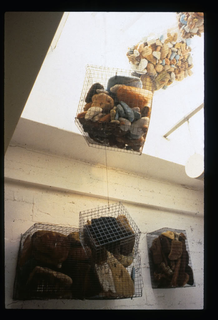 cage_group_04.jpg