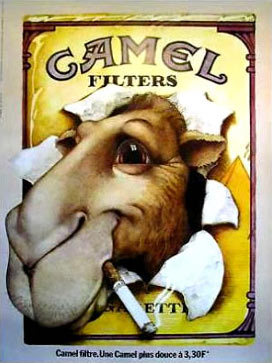 camel.jpg