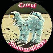 Camel MoonMadness.jpg