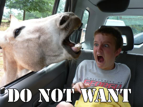 cameldonotwant.jpg