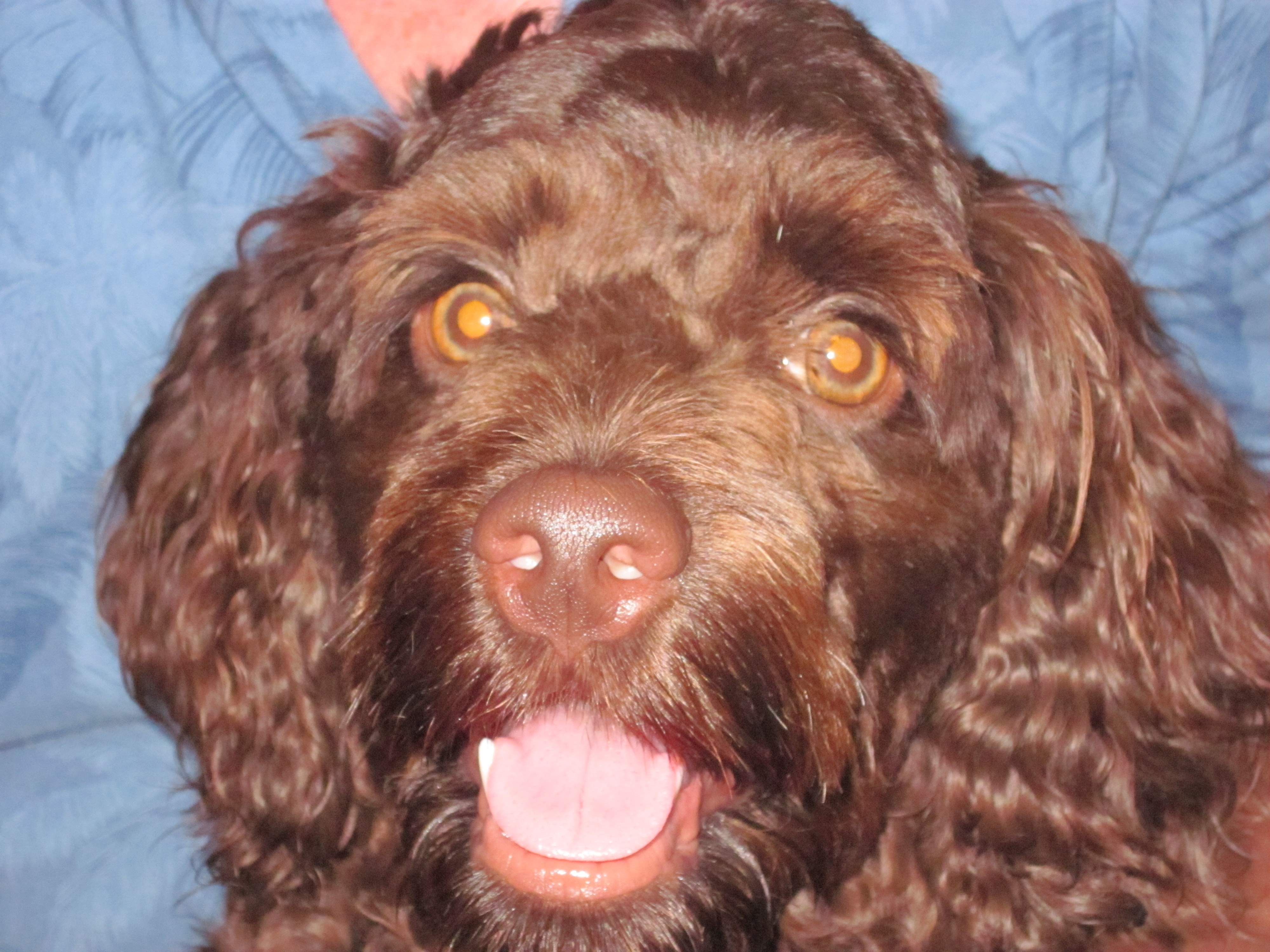 Cammie.JPG