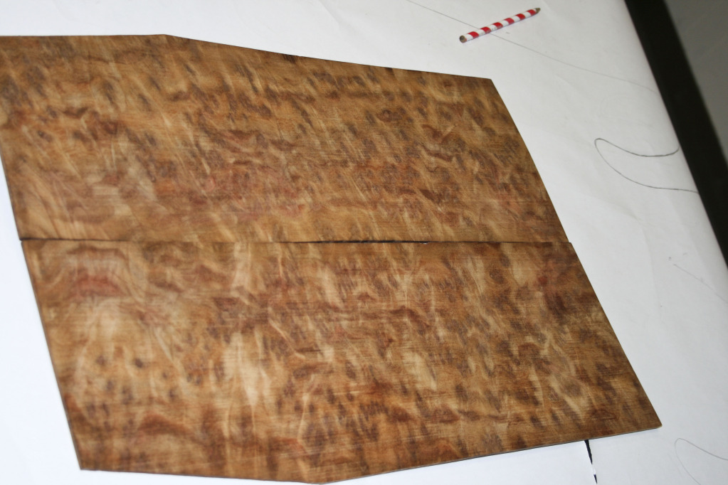camphor-burl03.jpg