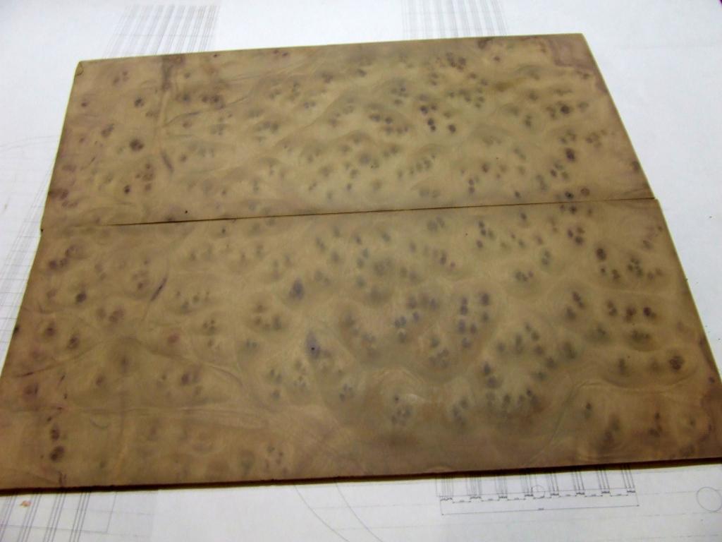 camphor1_zps4c8afea7.jpg