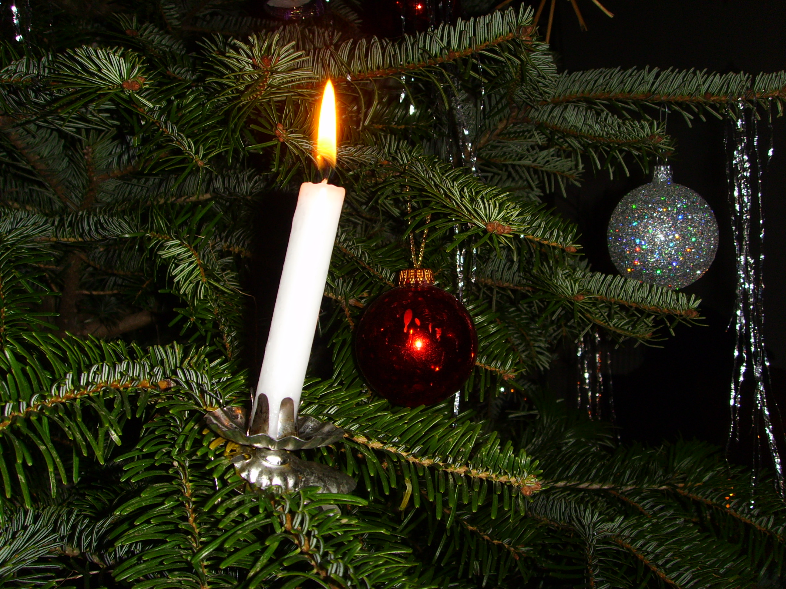 Candle_on_Christmas_tree.jpg