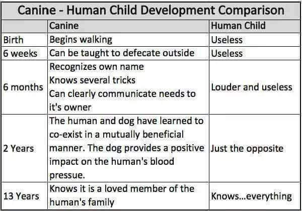 canine vs human.jpg