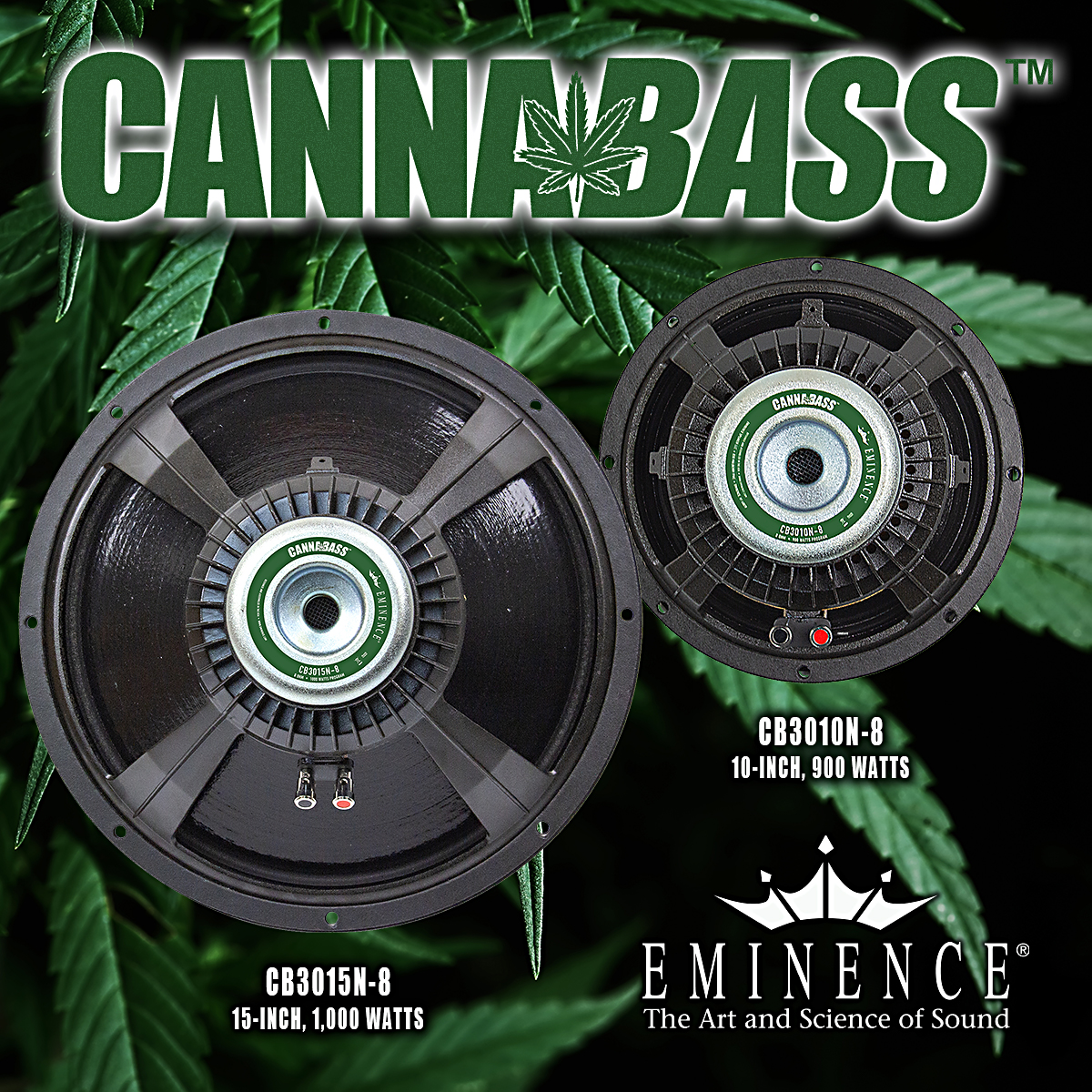 cannabasssq21200-jpg.5138018