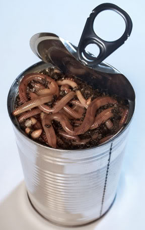 canofworms.jpg