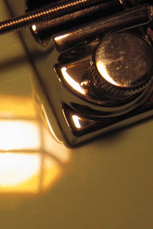 canon022.jpg