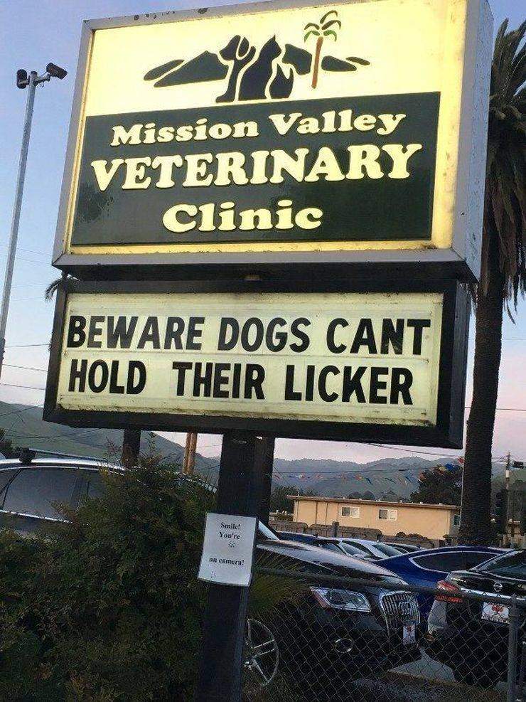 cant hold their licker.jpg