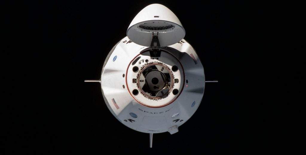 Capsule Open.jpg