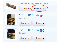 Capture.PNG