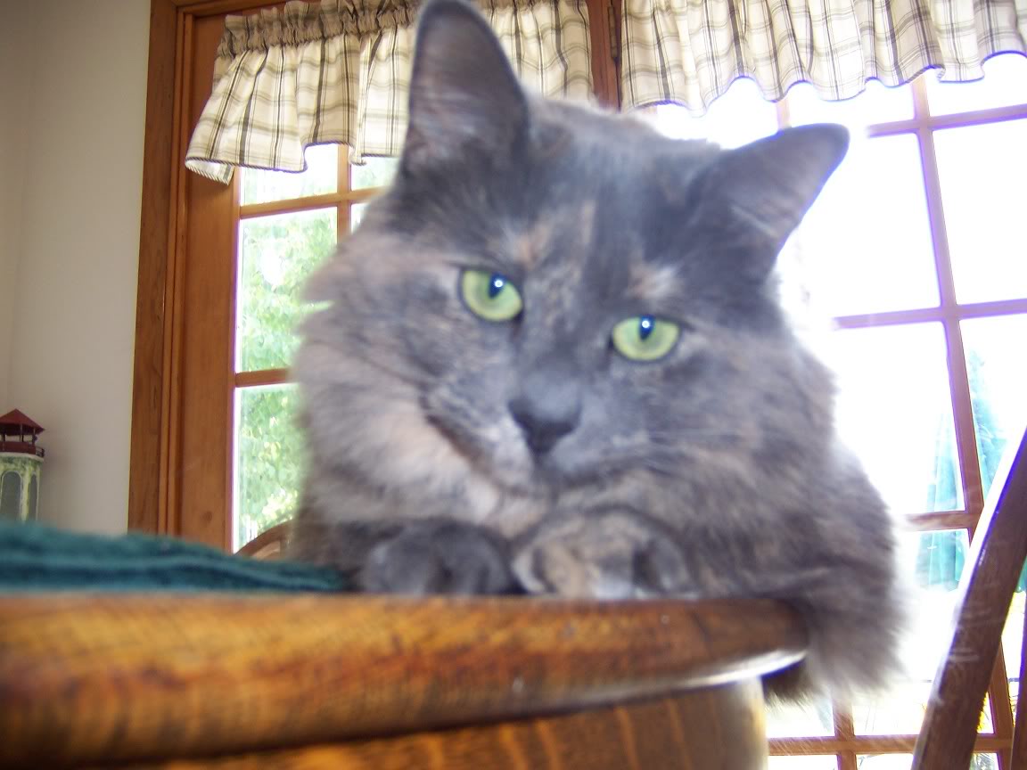 Captured2005-08-1000002.jpg