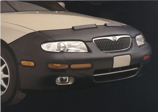 car+bra.jpg