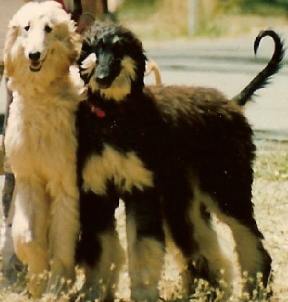 CARMEN AND MAE 2.JPG