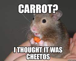 carrot.jpg