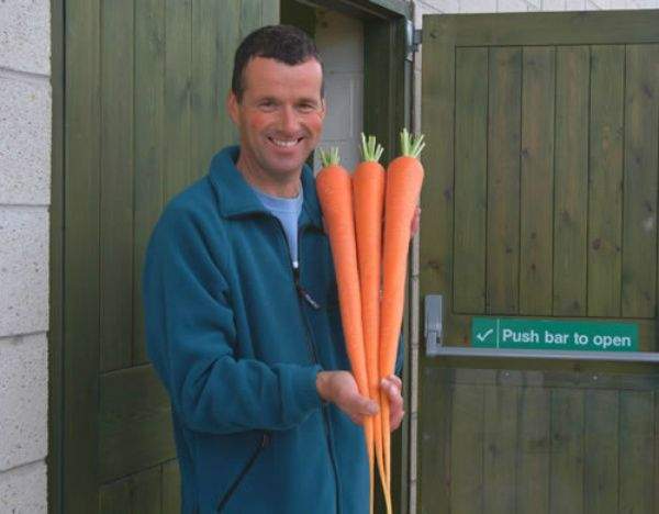 carrot.jpg