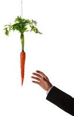 carrot.jpg