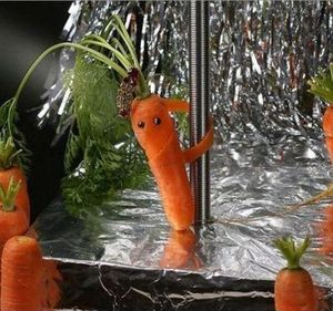 carrot poll.png