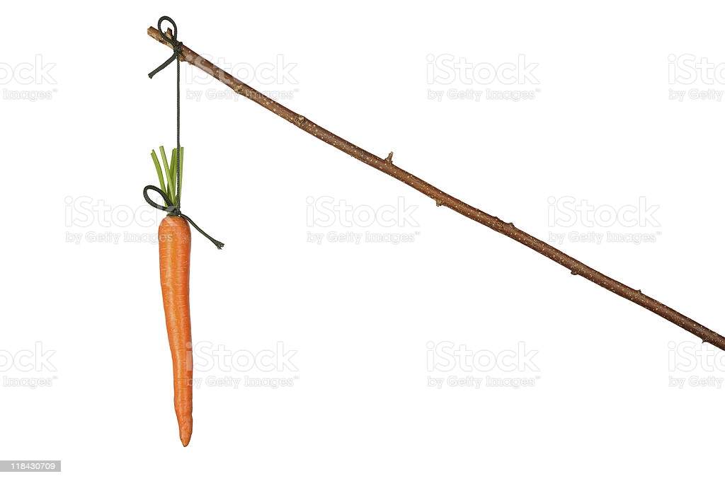 carrot stuck.jpg