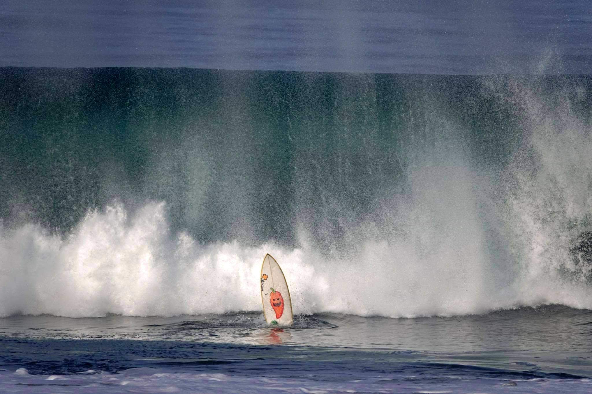 Carrot surf.jpg