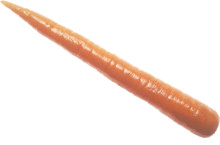 carrot_3.png