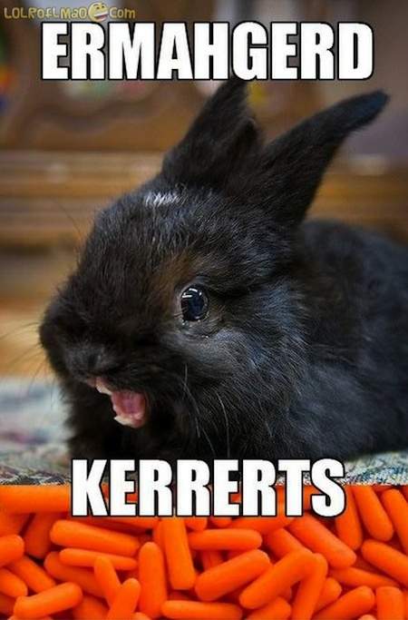 Carrotbunny.jpg