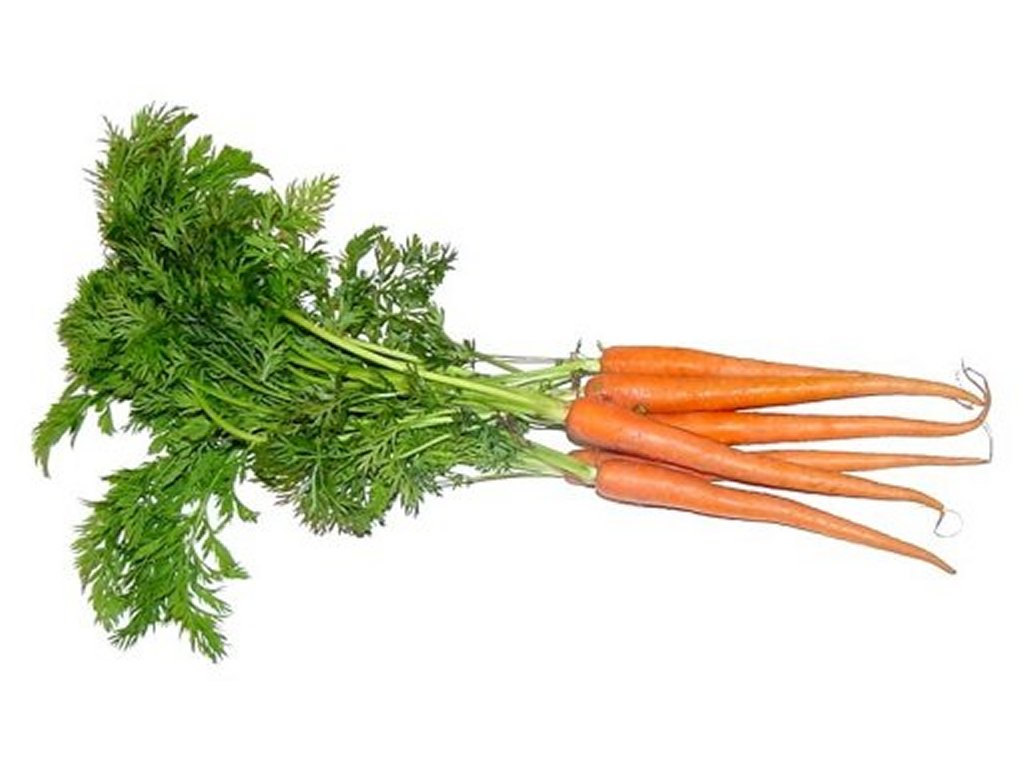 carrots.jpg