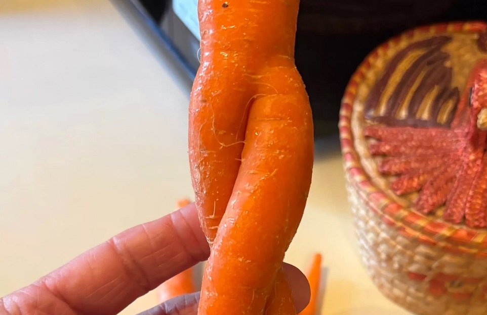 carrots.jpg