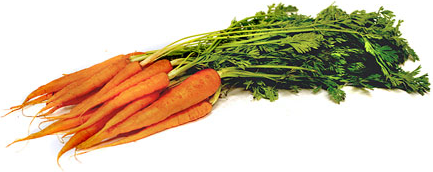 carrots.png