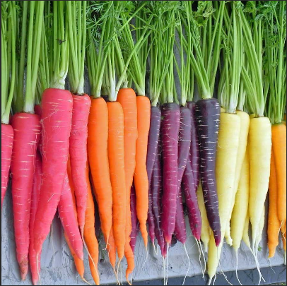 Carrots.png