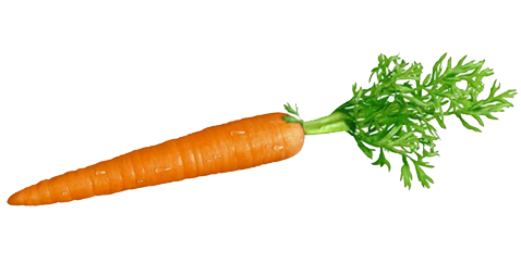 carrots.png