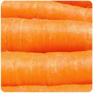 Carrots6.jpg