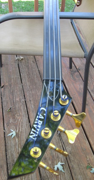 Carvin%252520003.jpg