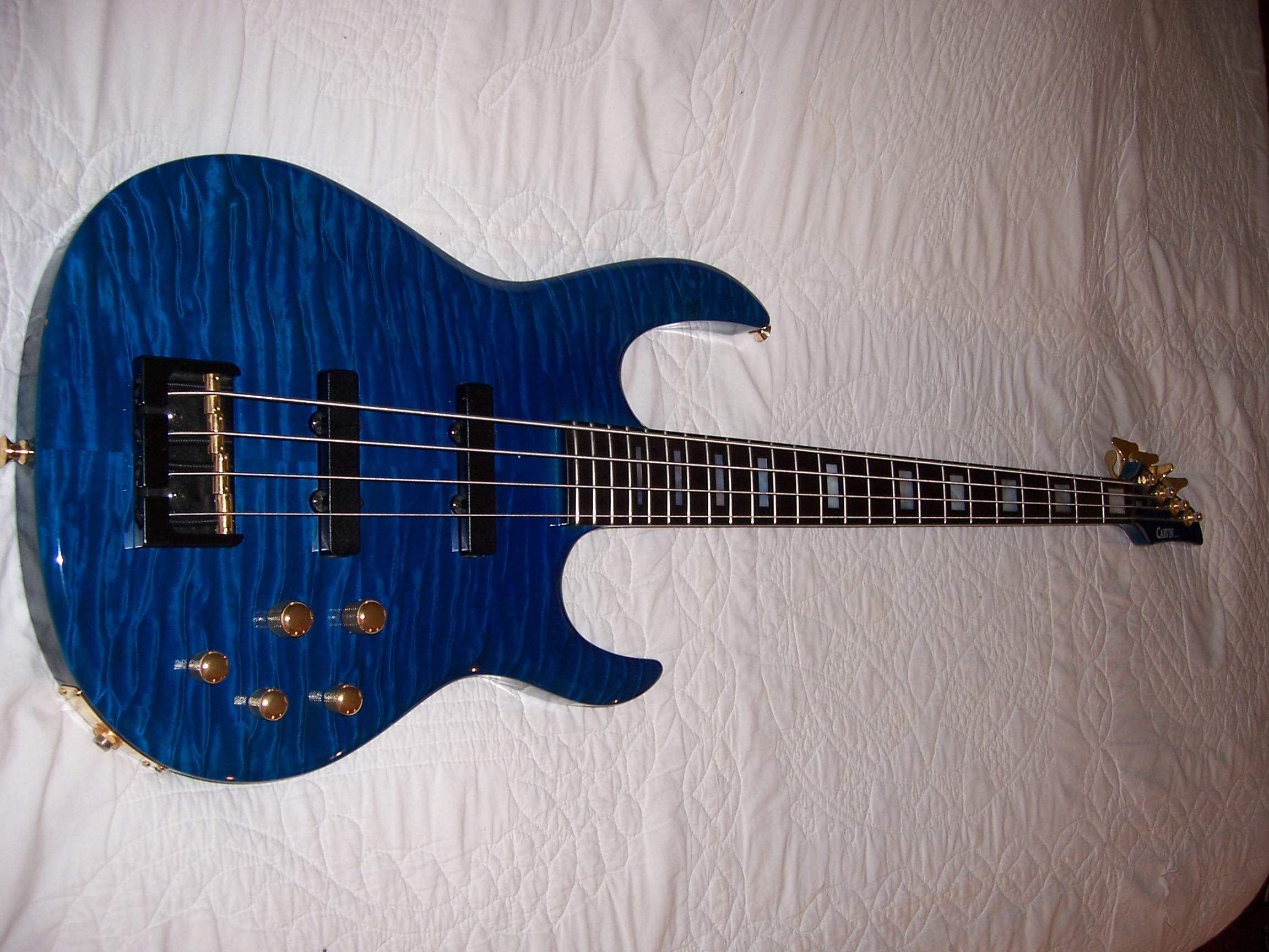 Carvin Front 1.JPG