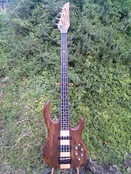 Carvin.jpg