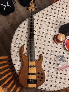 Carvin.jpg