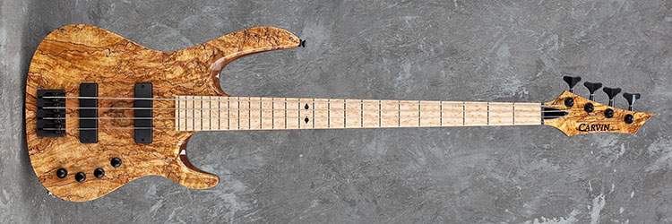 Carvin Spalt X.jpg