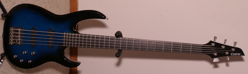 carvin10.jpg