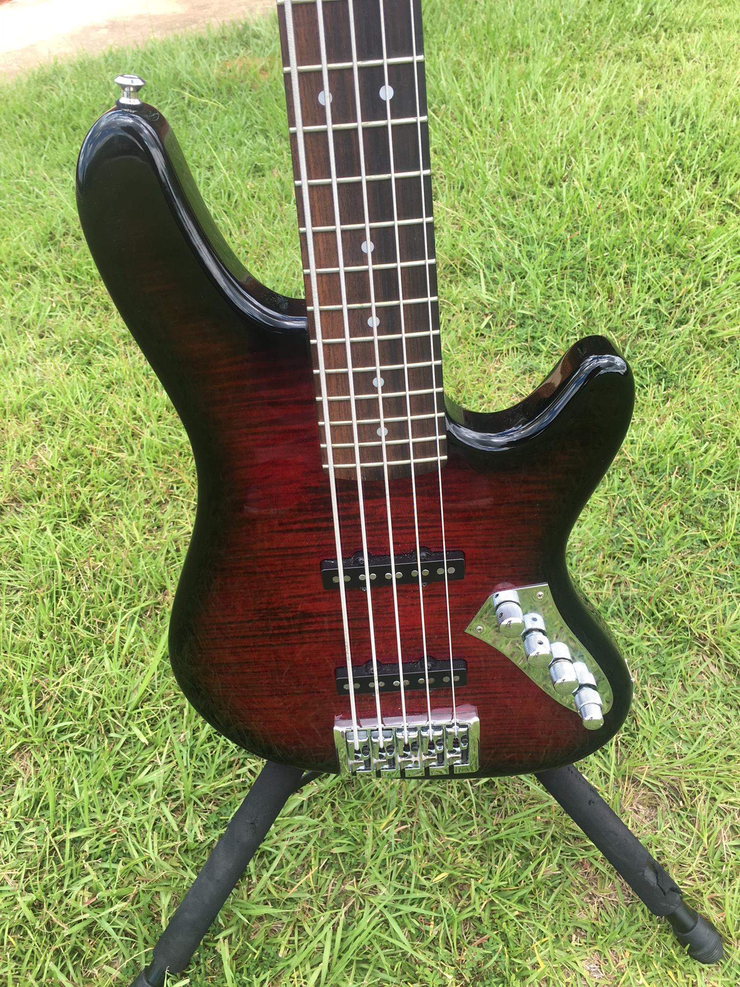 Carvin2.JPG