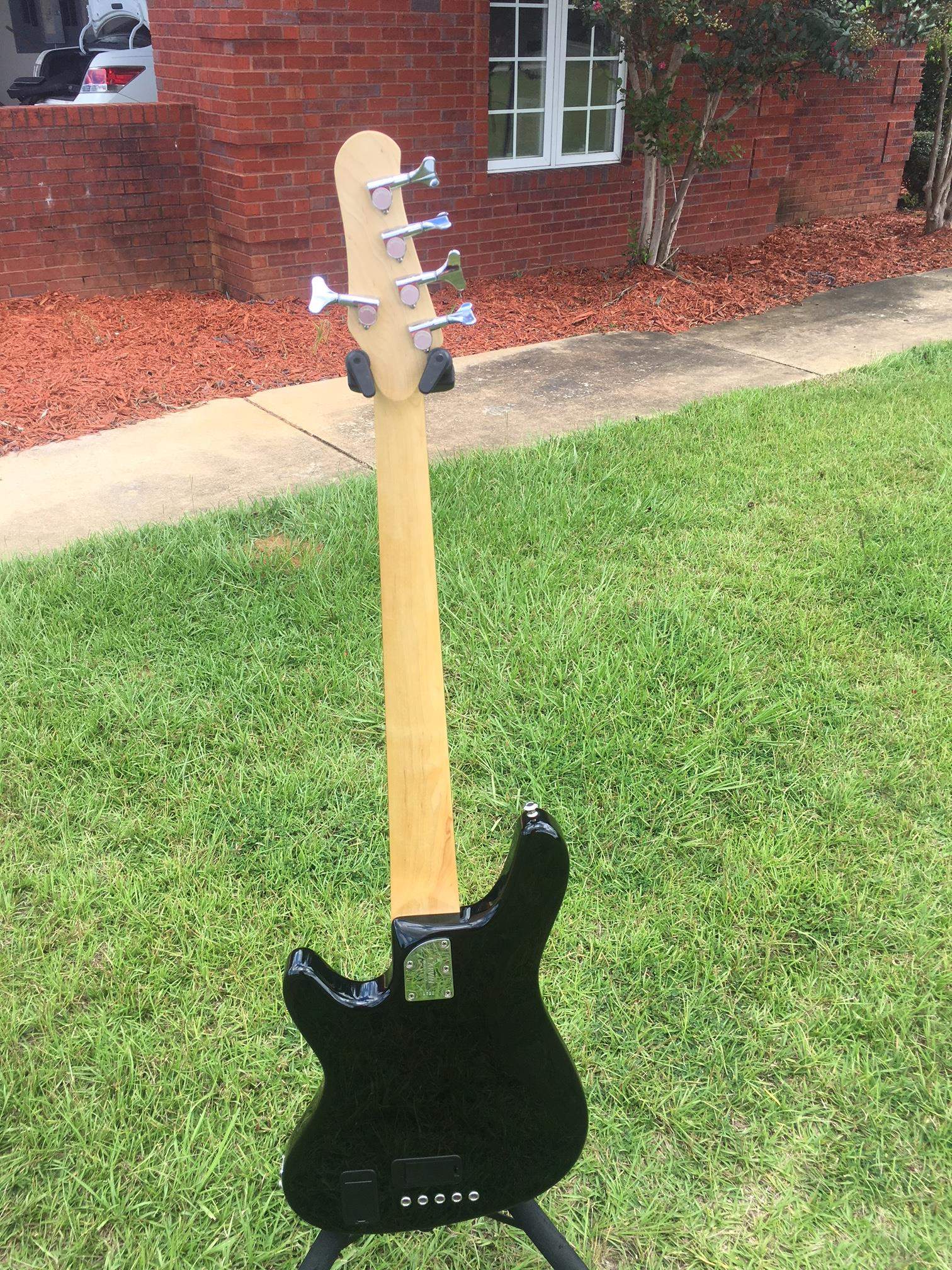 Carvin4.JPG