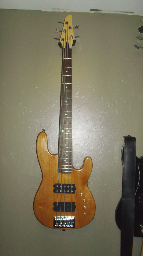 Carvin_Kit.jpg