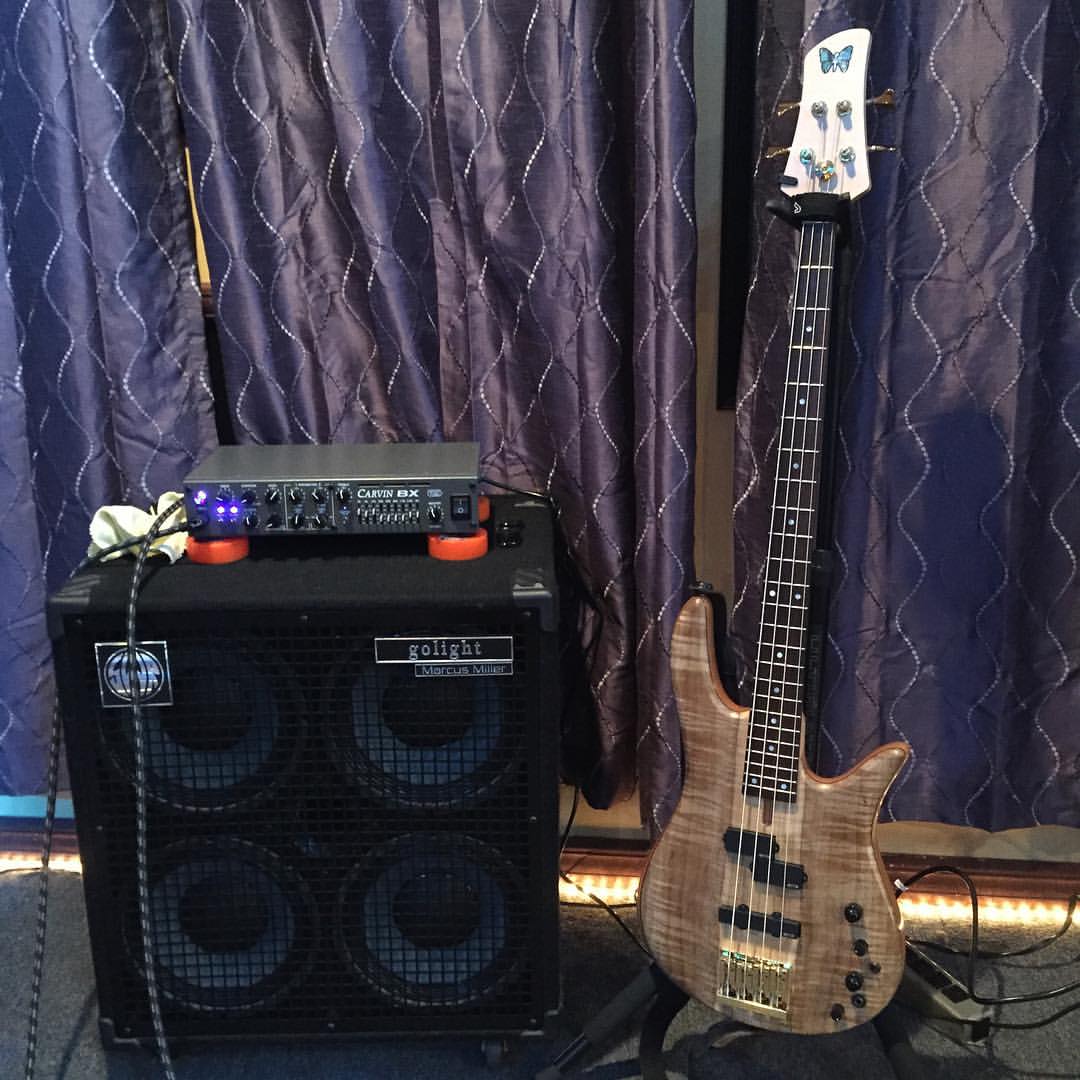 carvin_swr.jpg