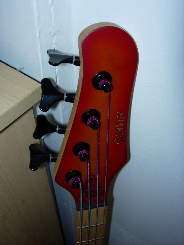CarvinHeadstock2.jpg