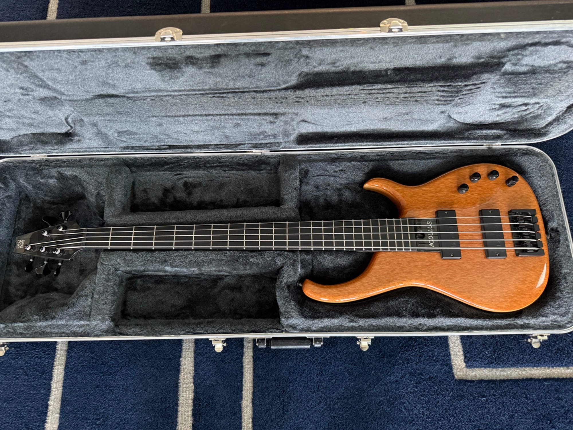 Case w:Bass.jpeg