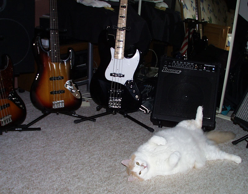 casey_bass.jpg