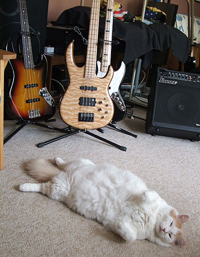 casey_bass2.jpg