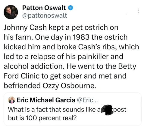 Cash trivia.jpg